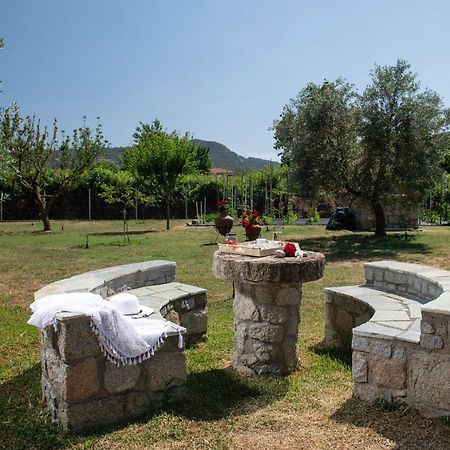 Villa Tsitreli Sykia Chalkidikis Bagian luar foto