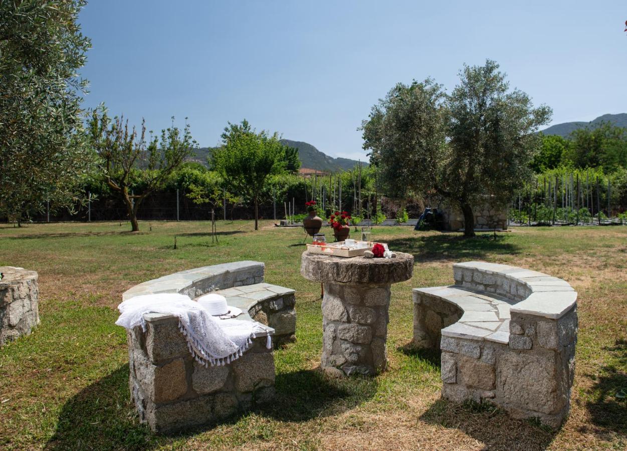 Villa Tsitreli Sykia Chalkidikis Bagian luar foto