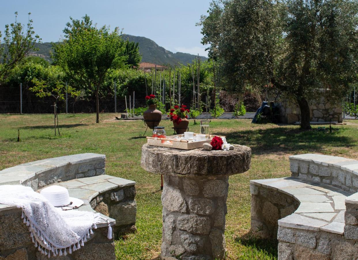 Villa Tsitreli Sykia Chalkidikis Bagian luar foto