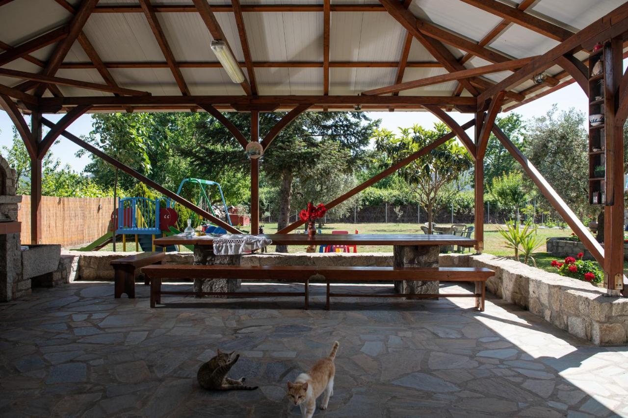 Villa Tsitreli Sykia Chalkidikis Bagian luar foto