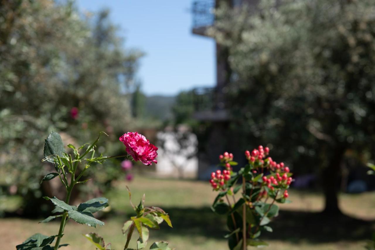 Villa Tsitreli Sykia Chalkidikis Bagian luar foto