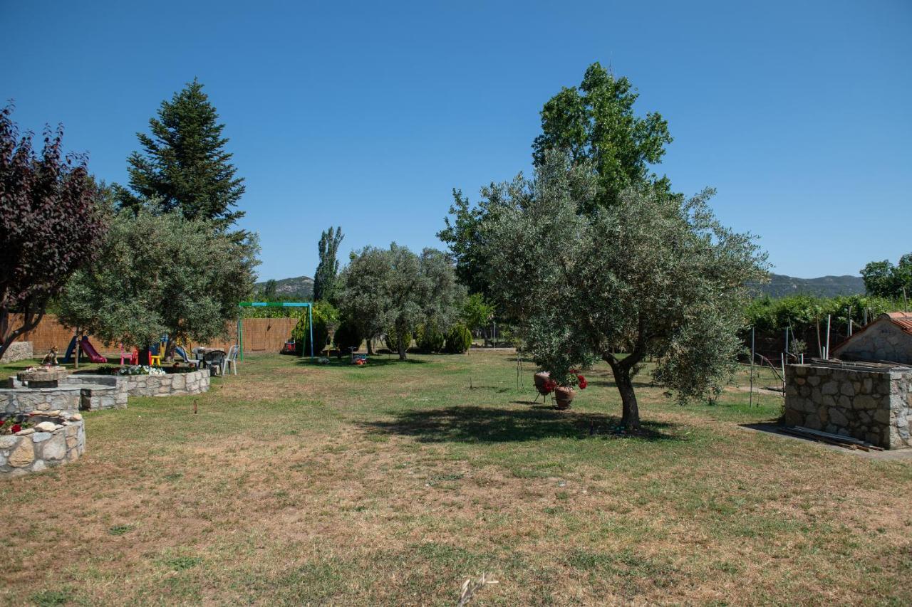 Villa Tsitreli Sykia Chalkidikis Bagian luar foto