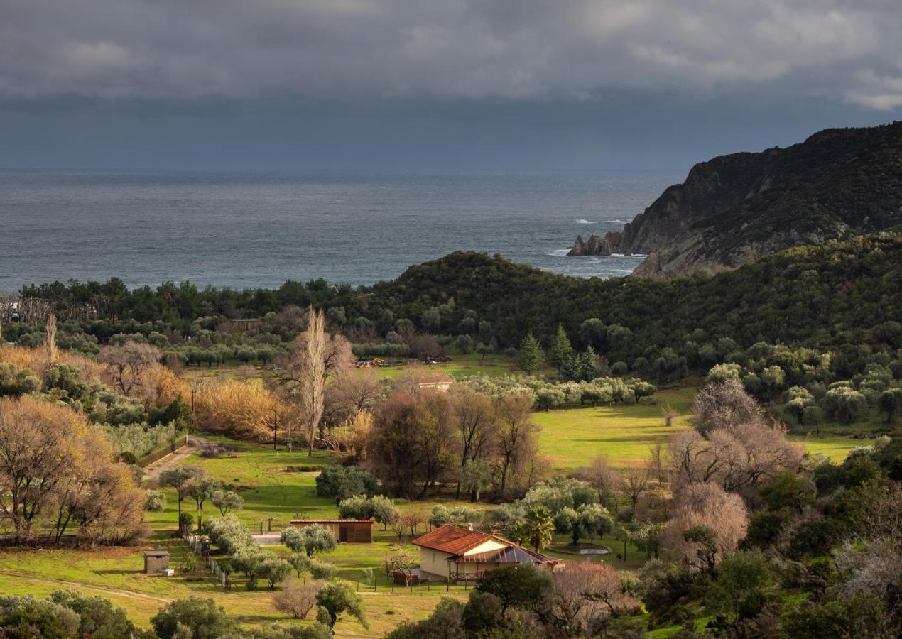 Villa Tsitreli Sykia Chalkidikis Bagian luar foto