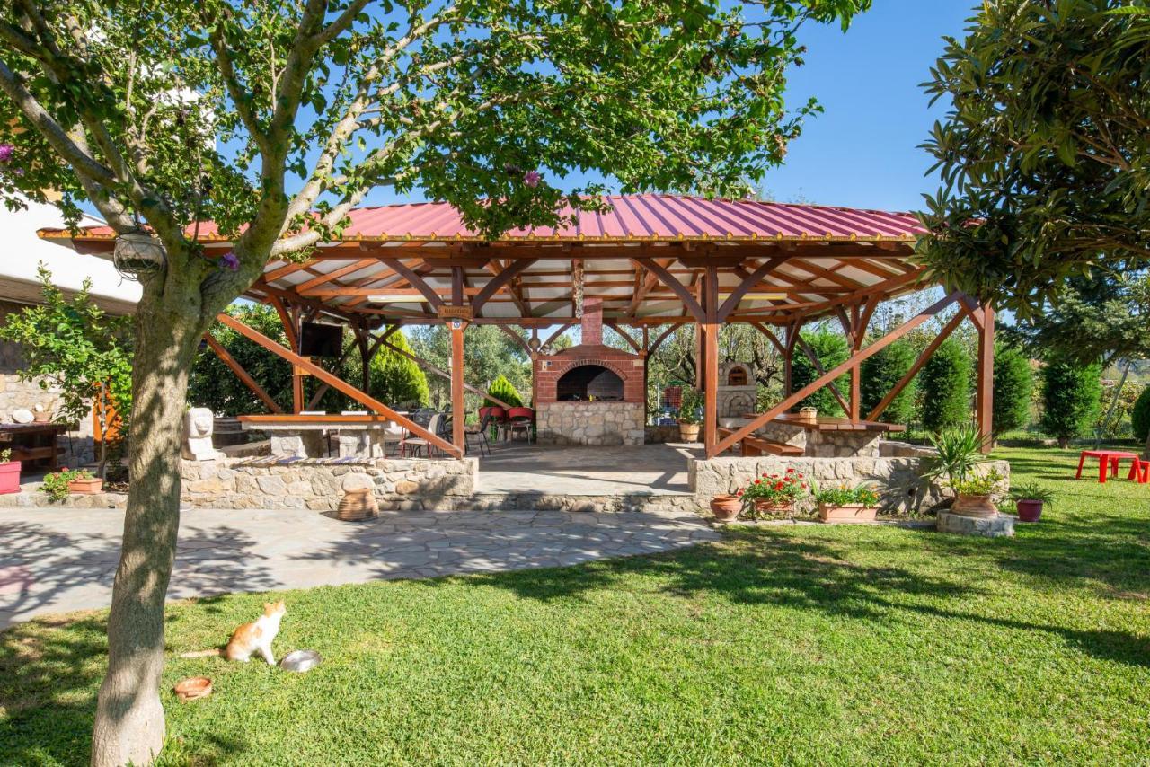 Villa Tsitreli Sykia Chalkidikis Bagian luar foto